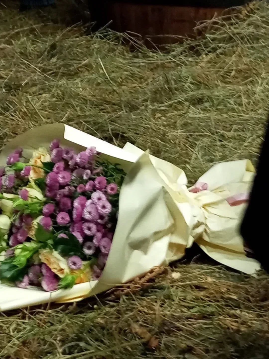 ԳՈՄԵՇԸ Վանաձորում 