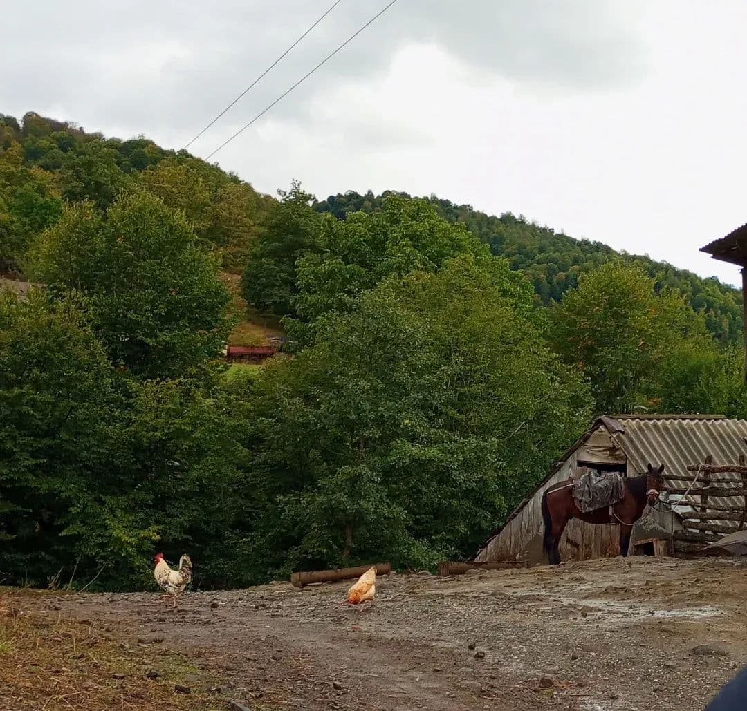 Ուխտագնացություն Ահնիձոր 