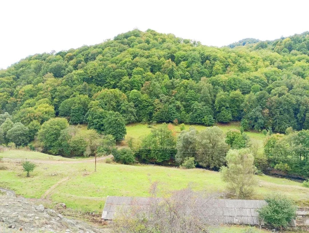 Ուխտագնացություն Ահնիձոր 