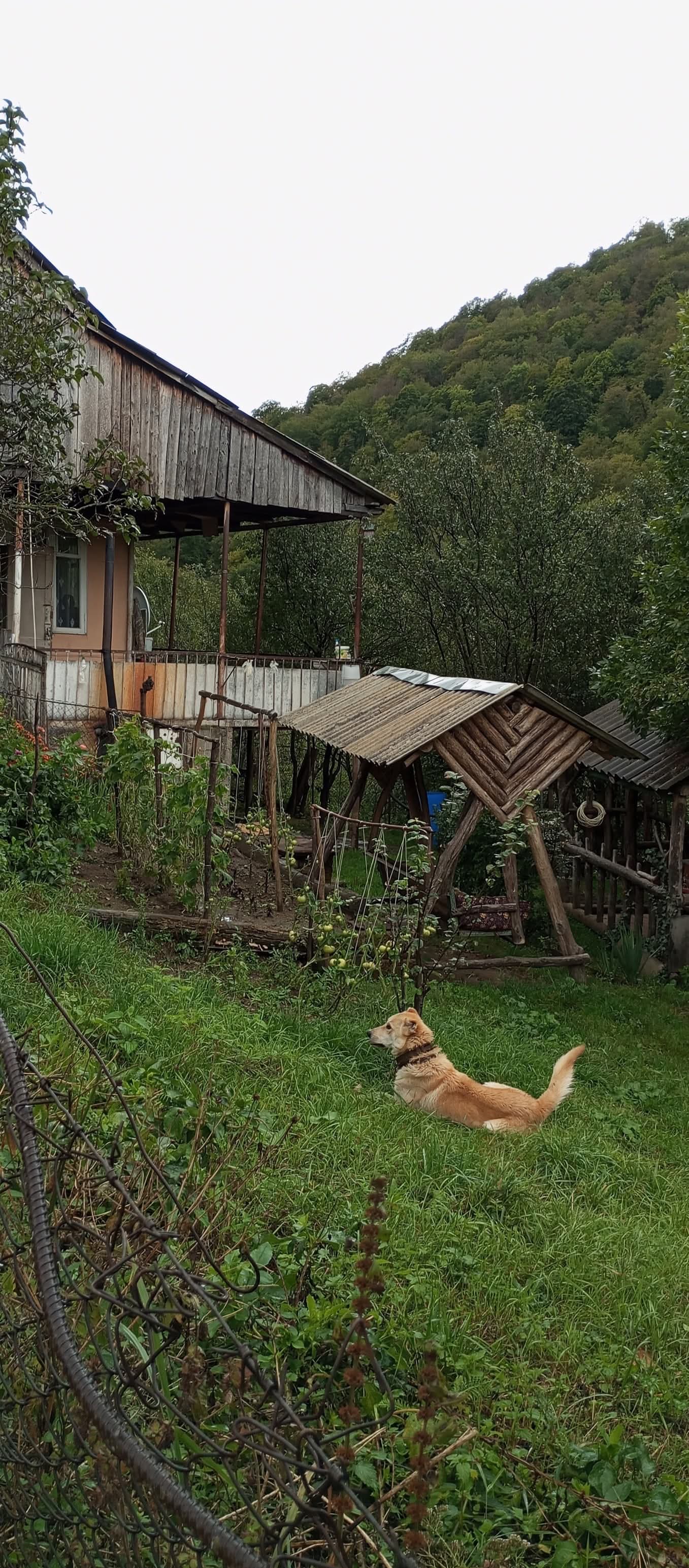 Ուխտագնացություն Ահնիձոր 21.09.25